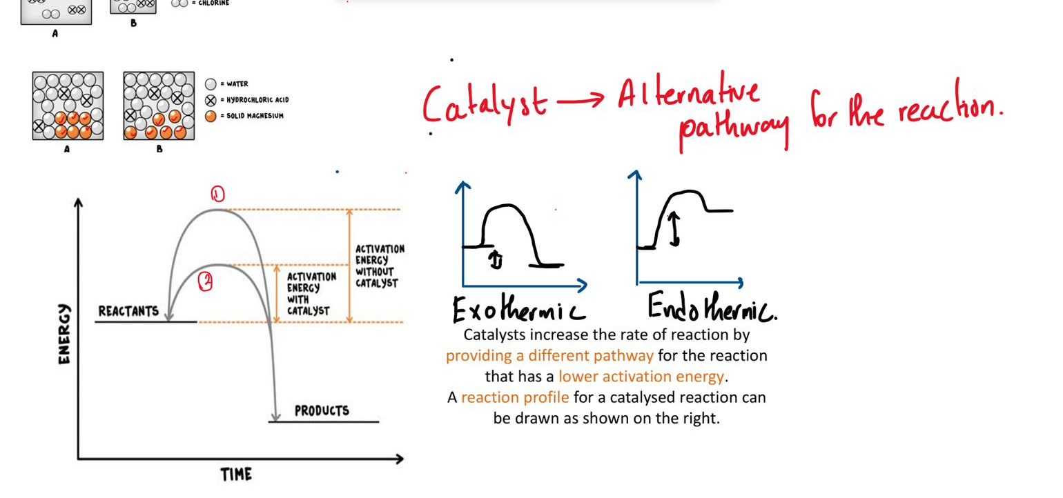 Chemistry class notes on catalysts and activation energy